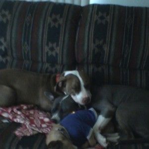 Meet your Posher, Elizabeth